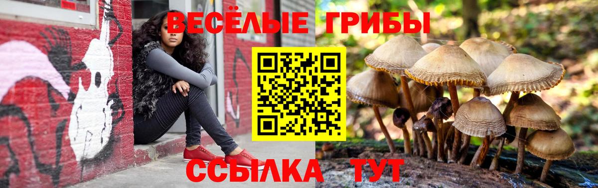 Керчь  Галлюциногенные грибы MAGIC MUSHROOMS  Вход с VPN 